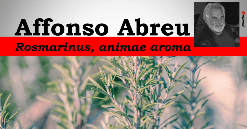 Rosmarinus, animae aroma